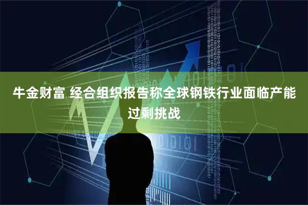 牛金财富 经合组织报告称全球钢铁行业面临产能过剩挑战